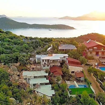 My Stone 5*