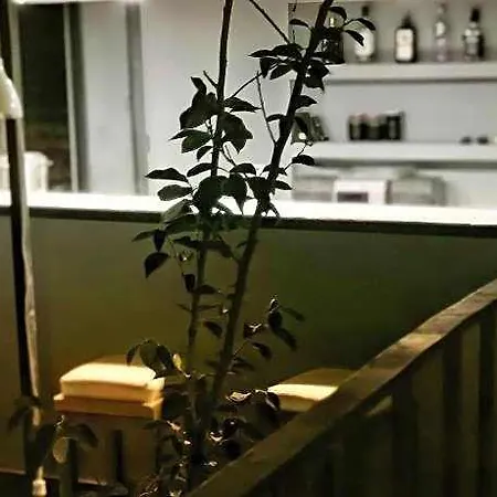 Hotell My Stone Kaş